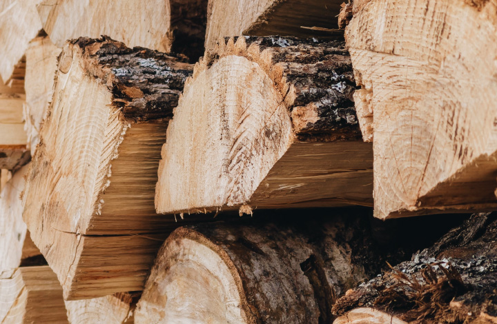 国産木材で安心安全と機能性